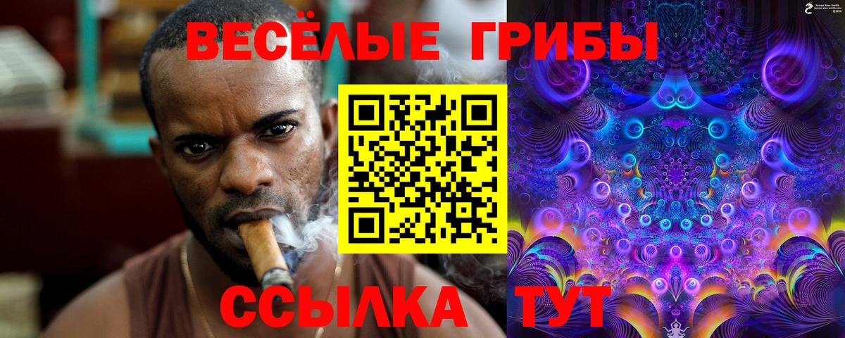 Кинель  Псилоцибиновые грибы Psilocybe  где найти наркотики  Вход с VPN 